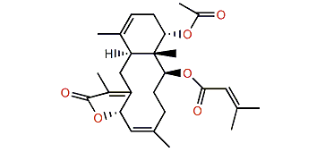 Malayenolide C